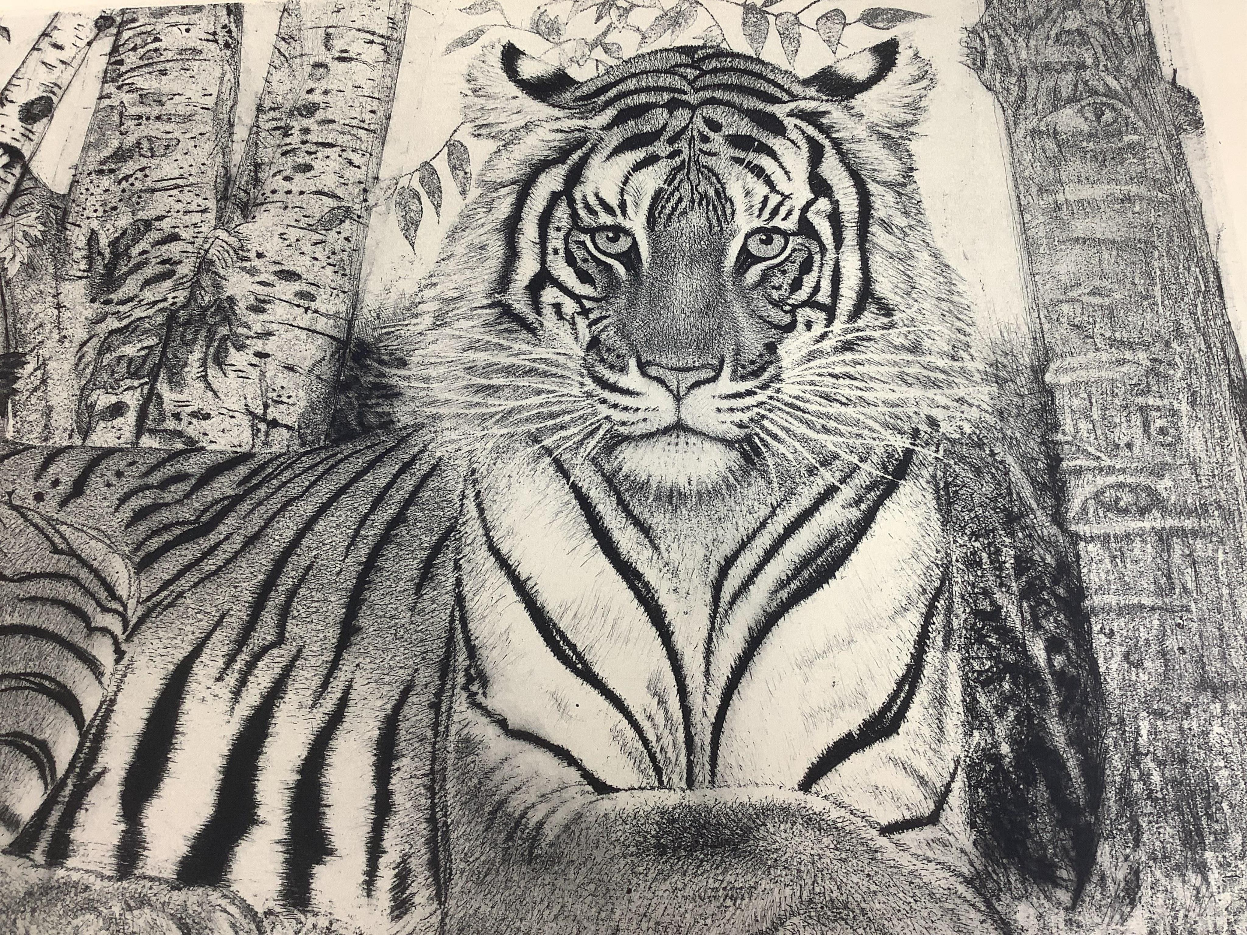 A folio of etchings, a lithograph and four black and white photographs to include Edmund Wiiralt, tiger, signed and numbered in pencil and Johnn Friedlaender, Fre Sol Bleu, unframed, largest 65 x 50cm